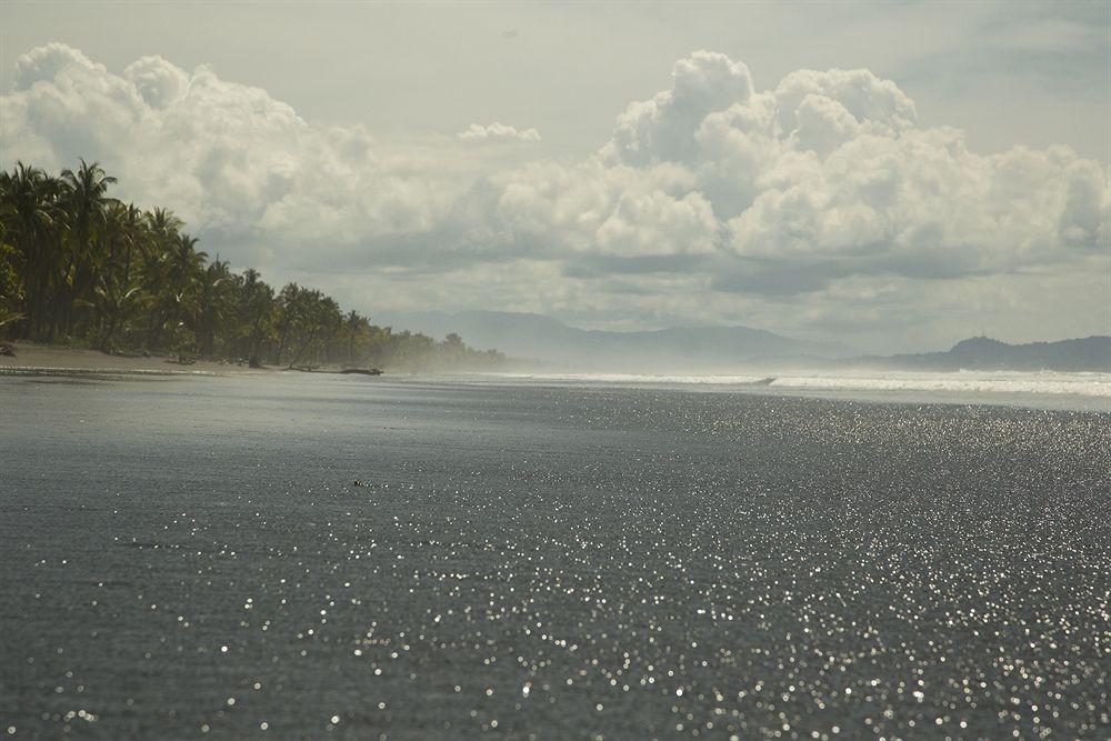 Clandestino Beach Resort Parrita Exteriör bild