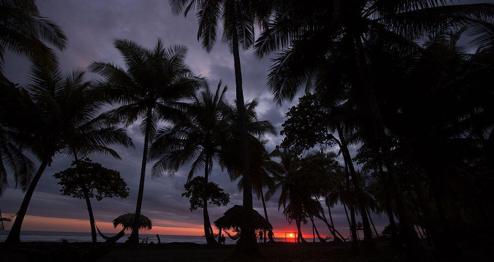 Clandestino Beach Resort Parrita Exteriör bild