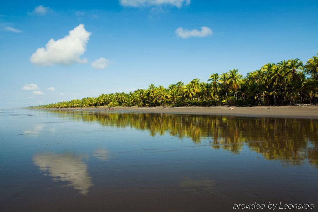 Clandestino Beach Resort Parrita Bekvämligheter bild