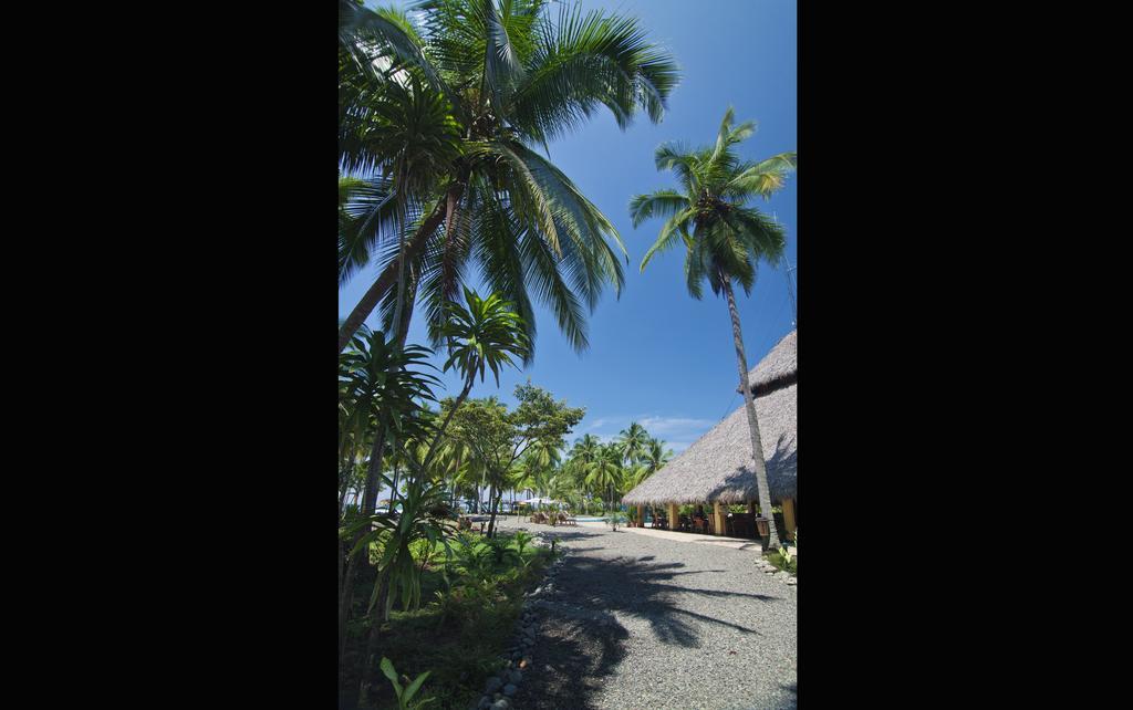 Clandestino Beach Resort Parrita Exteriör bild