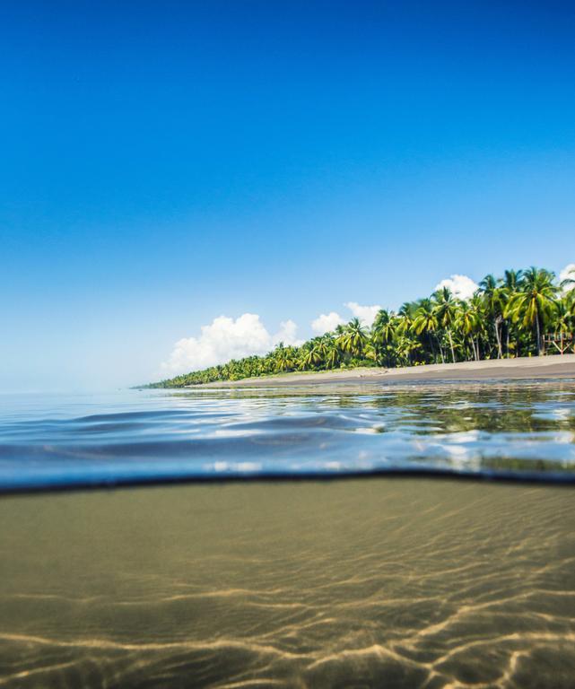Clandestino Beach Resort Parrita Exteriör bild