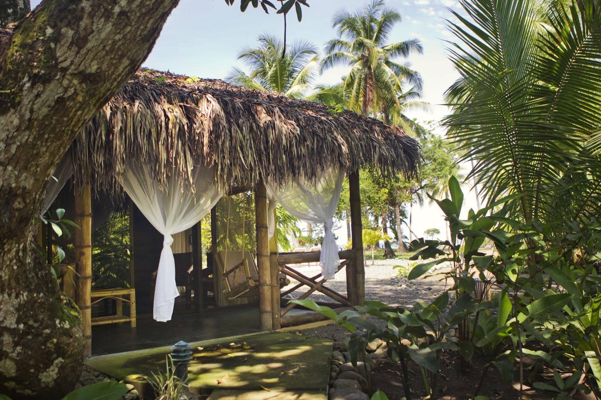 Clandestino Beach Resort Parrita Exteriör bild