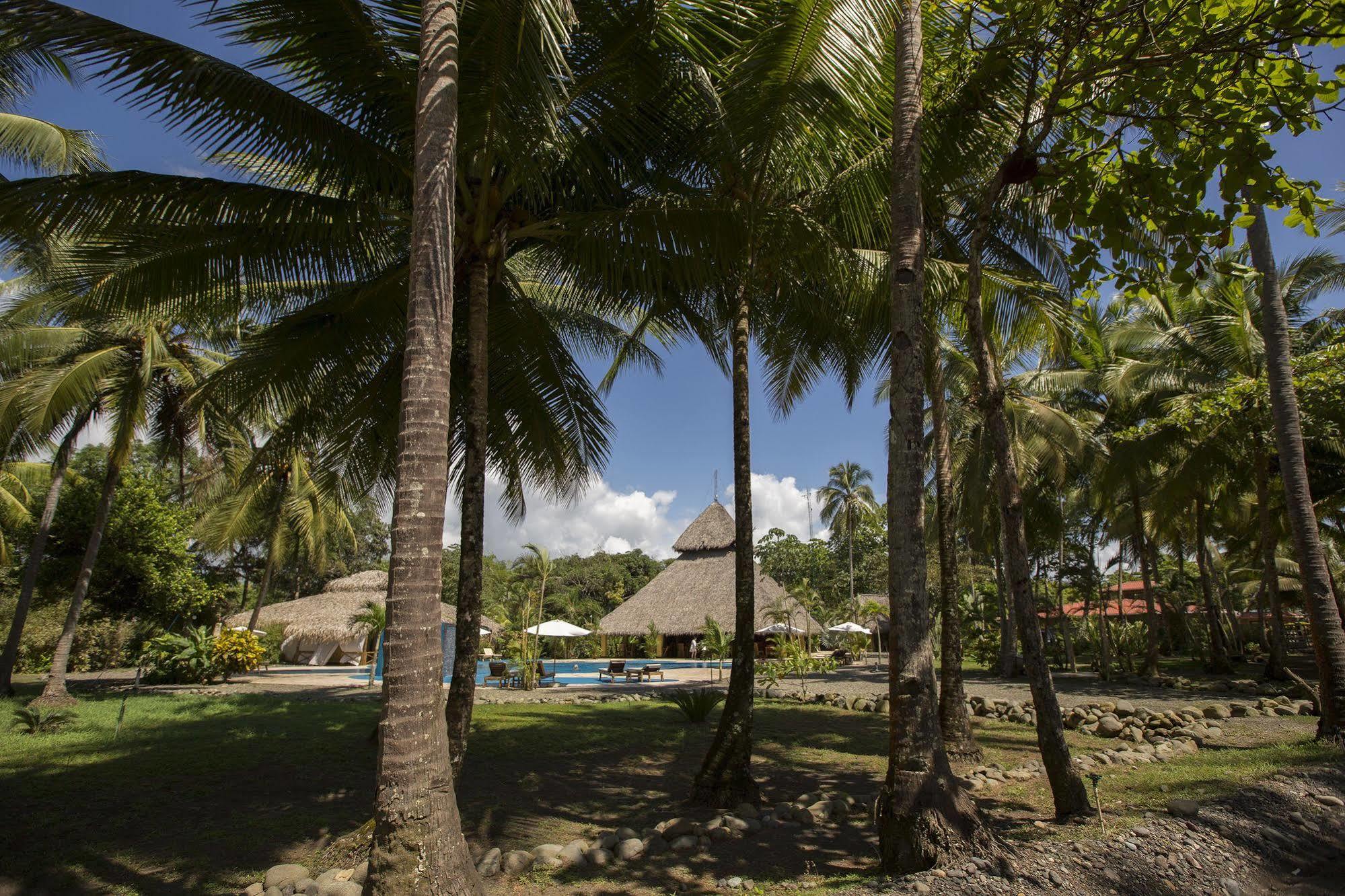 Clandestino Beach Resort Parrita Exteriör bild