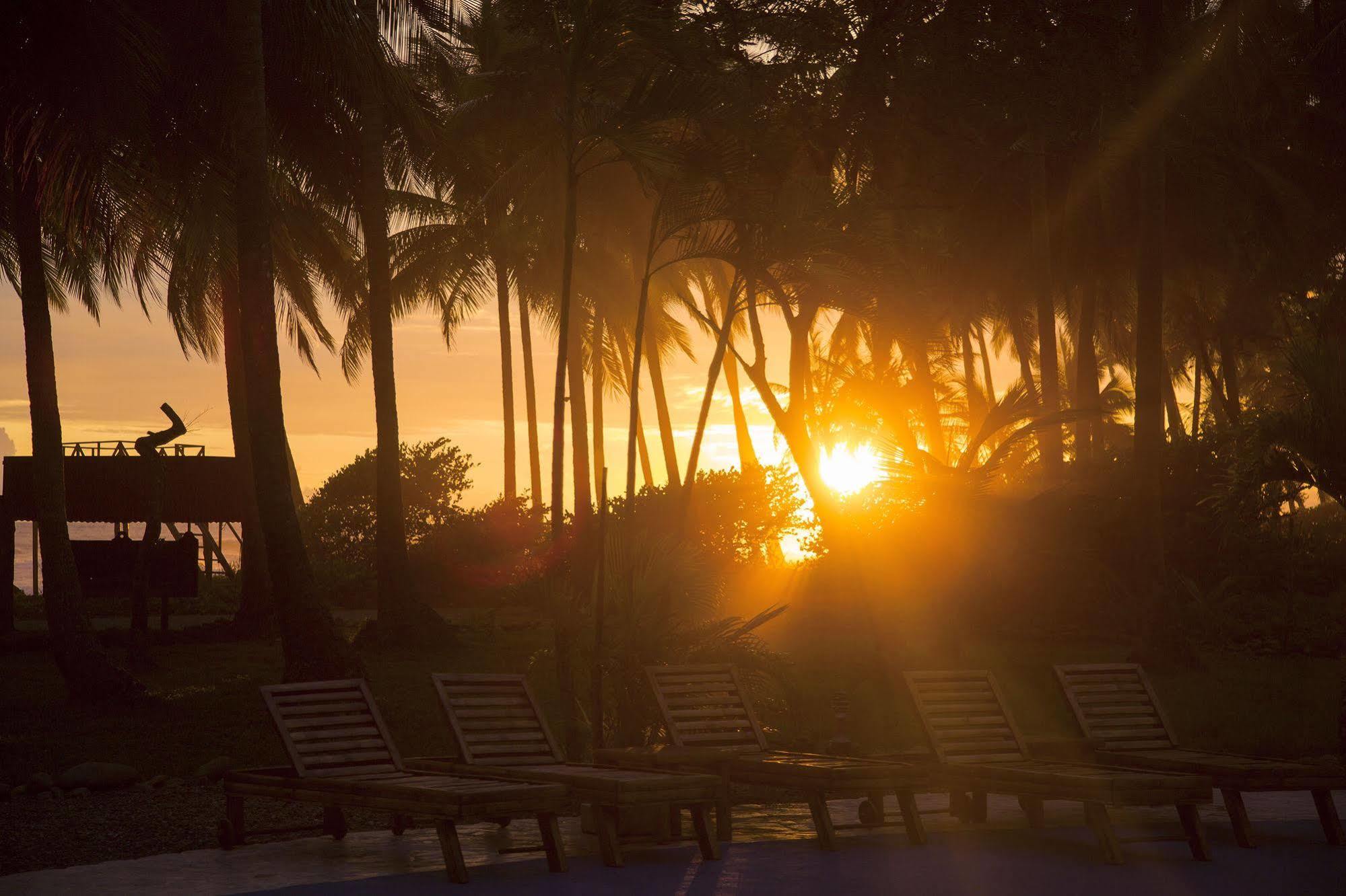 Clandestino Beach Resort Parrita Exteriör bild