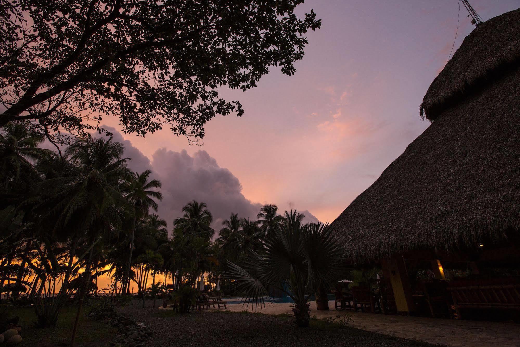 Clandestino Beach Resort Parrita Exteriör bild