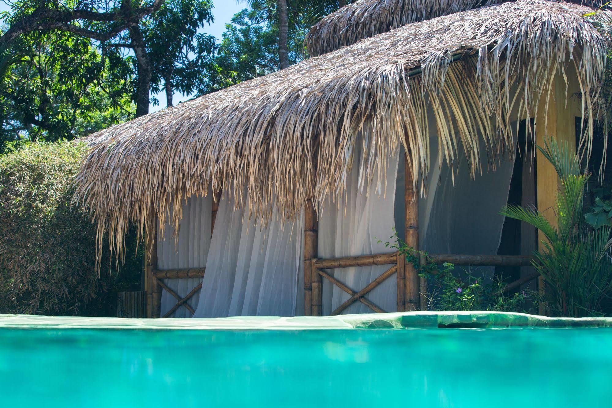 Clandestino Beach Resort Parrita Exteriör bild