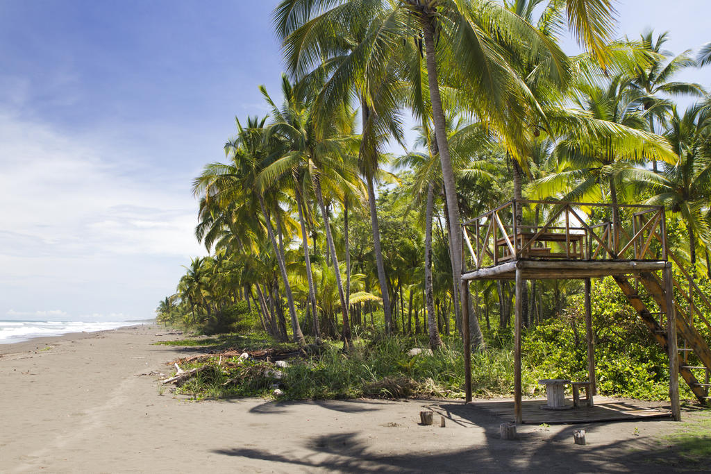 Clandestino Beach Resort Parrita Exteriör bild