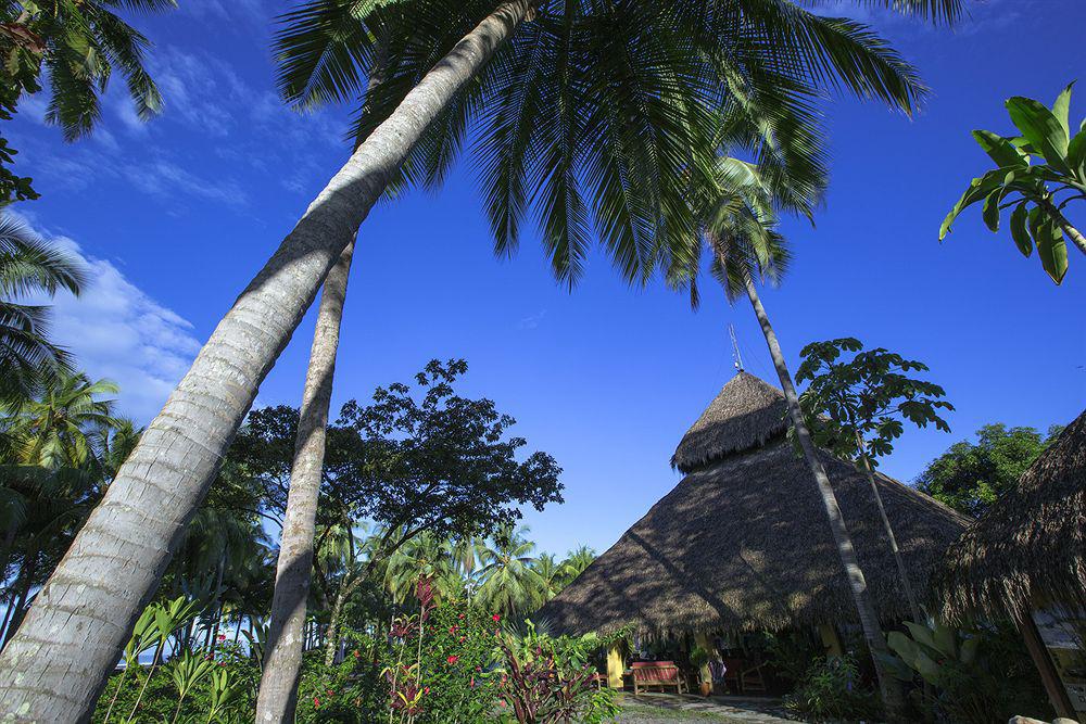 Clandestino Beach Resort Parrita Exteriör bild